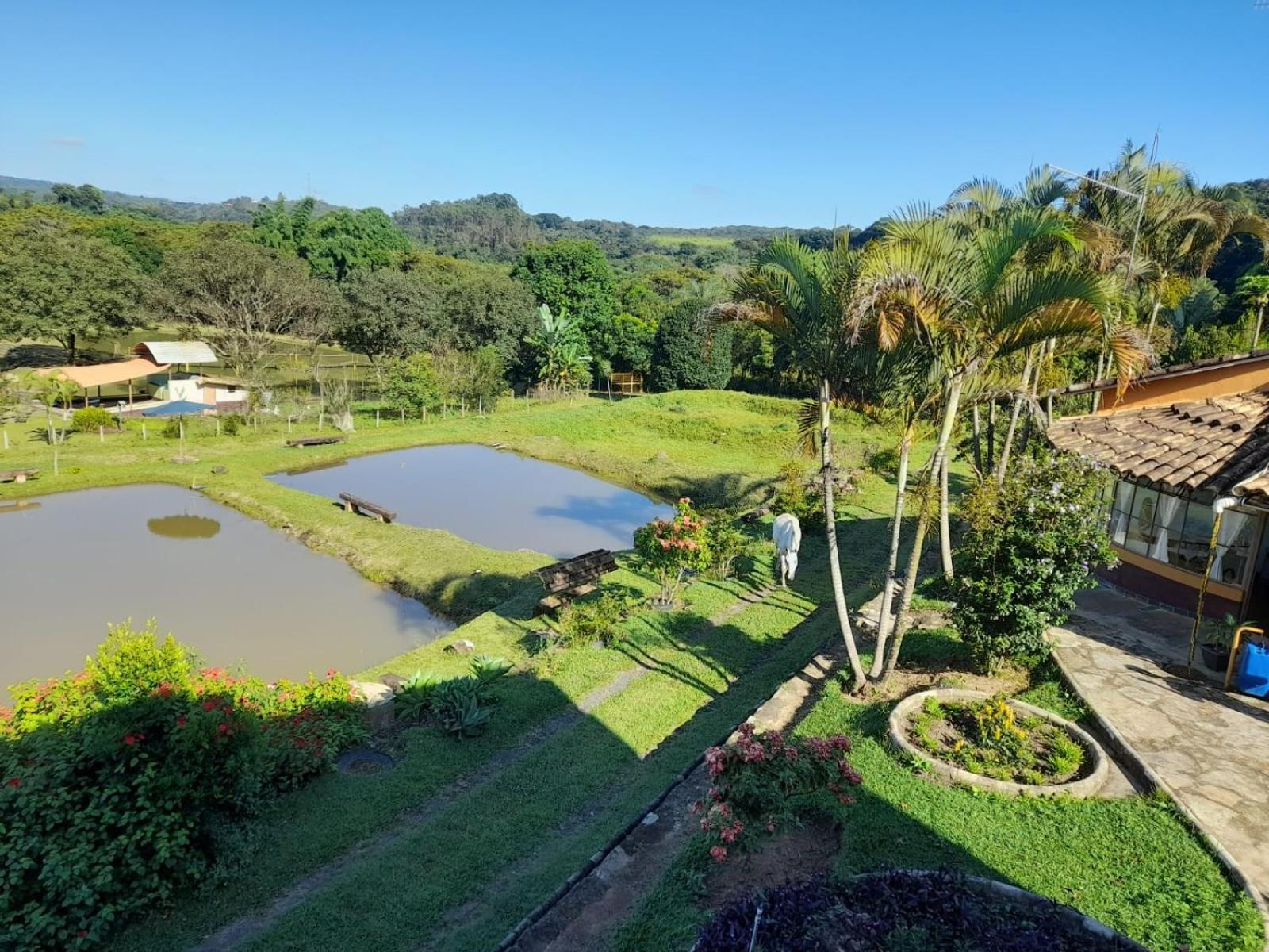 Pousada Balneario Cachoeira Do Moinho Belo Vale المظهر الخارجي الصورة
